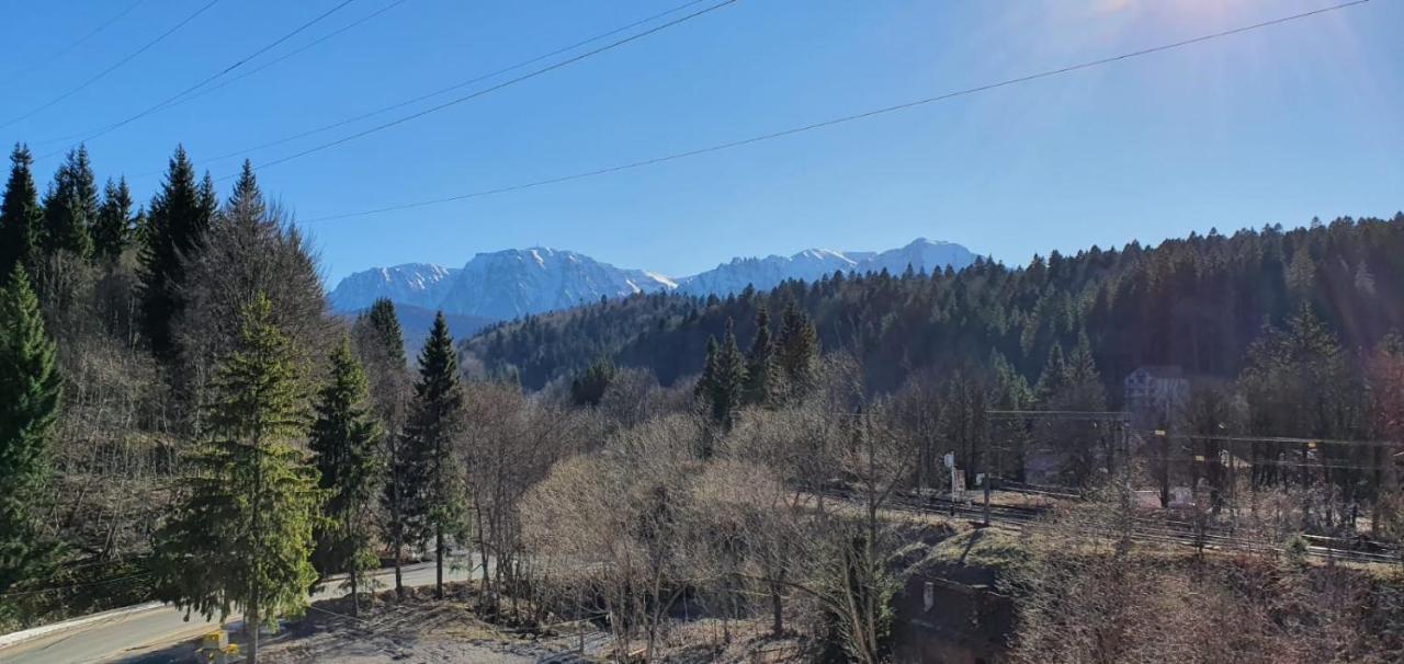 Pensiunea Alpin Predeal Zewnętrze zdjęcie